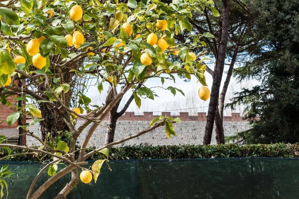 Lemon House Green Pise Extérieur photo
